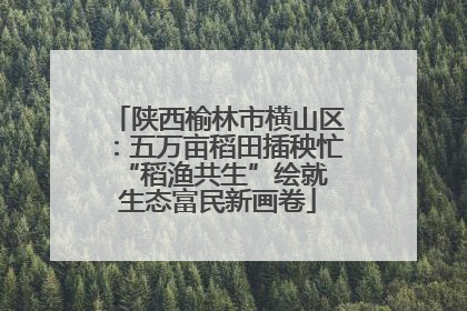 陕西榆林市横山区：五万亩稻田插秧忙 “稻渔共生”绘就生态富民新画卷
