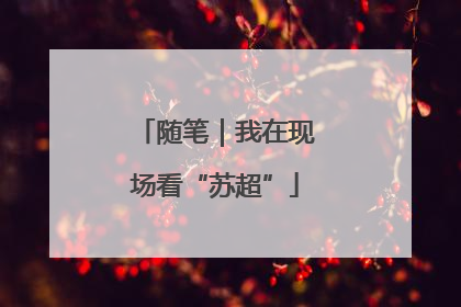 随笔｜我在现场看“苏超”