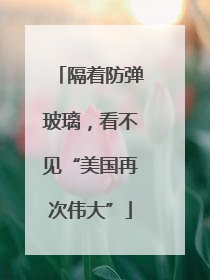隔着防弹玻璃，看不见“美国再次伟大”