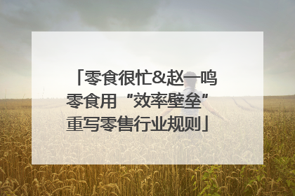 零食很忙&赵一鸣零食用“效率壁垒”重写零售行业规则