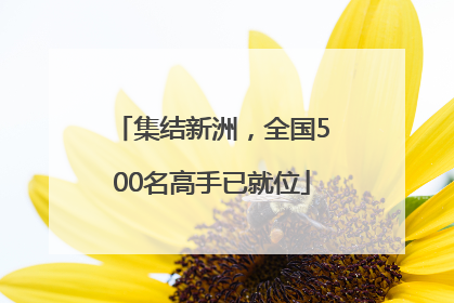 集结新洲，全国500名高手已就位
