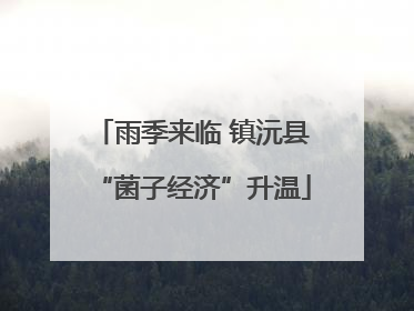 雨季来临 镇沅县“菌子经济”升温