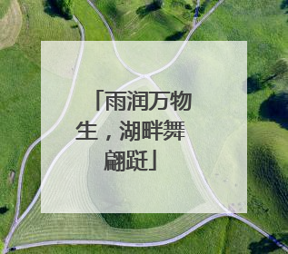 雨润万物生，湖畔舞翩跹