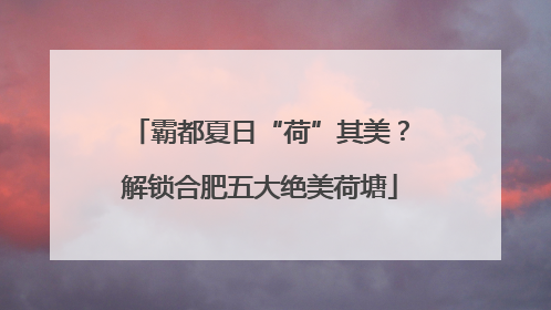 霸都夏日“荷”其美？解锁合肥五大绝美荷塘