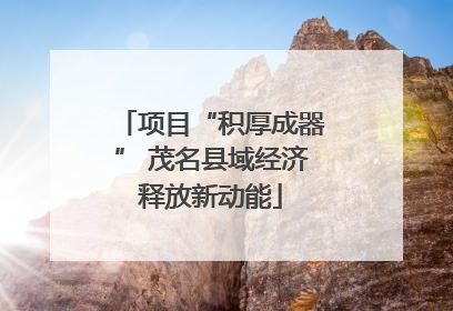 项目“积厚成器” 茂名县域经济释放新动能