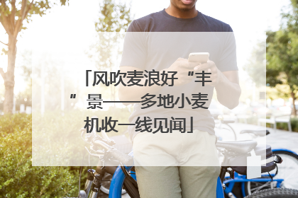 风吹麦浪好“丰”景——多地小麦机收一线见闻