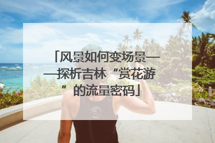 风景如何变场景——探析吉林“赏花游”的流量密码