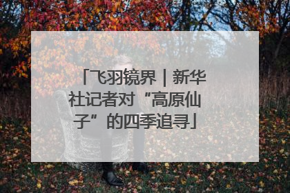 飞羽镜界｜新华社记者对“高原仙子”的四季追寻