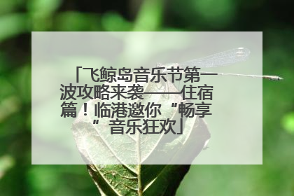 飞鲸岛音乐节第一波攻略来袭——住宿篇！临港邀你“畅享”音乐狂欢