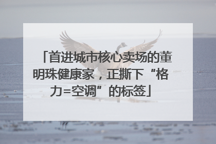 首进城市核心卖场的董明珠健康家，正撕下“格力=空调”的标签