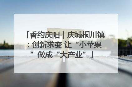 香约庆阳｜庆城桐川镇：创新求变 让“小苹果”做成“大产业”