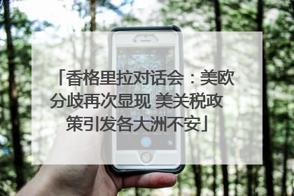香格里拉对话会：美欧分歧再次显现 美关税政策引发各大洲不安