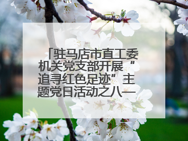 驻马店市直工委机关党支部开展“追寻红色足迹”主题党日活动之八——鏖战独树镇