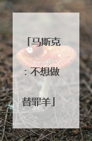 马斯克：不想做替罪羊