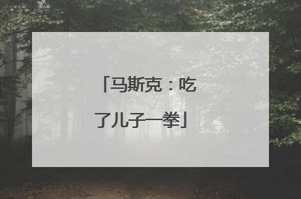 马斯克：吃了儿子一拳