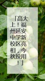 高大上！福州延安中学新校区亮相，今秋投用！