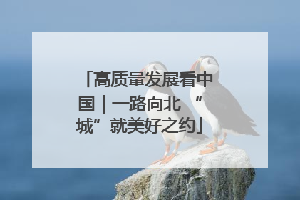 高质量发展看中国｜一路向北 “城”就美好之约