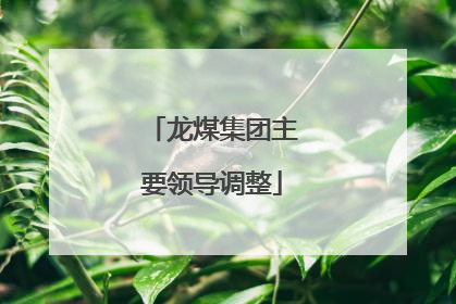 龙煤集团主要领导调整
