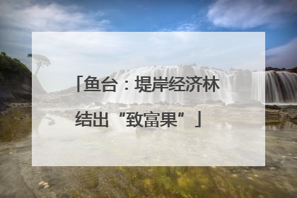 鱼台：堤岸经济林结出“致富果”