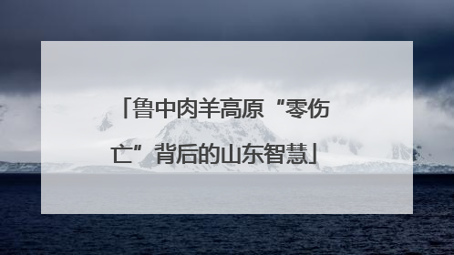 鲁中肉羊高原“零伤亡”背后的山东智慧
