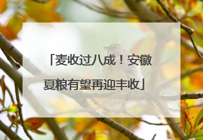 麦收过八成！安徽夏粮有望再迎丰收
