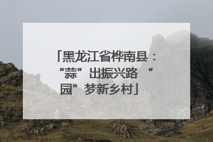 黑龙江省桦南县：“蒜”出振兴路 “园”梦新乡村