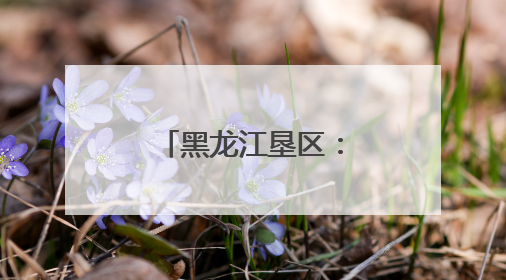 黑龙江垦区：“用养结合”保护黑土地
