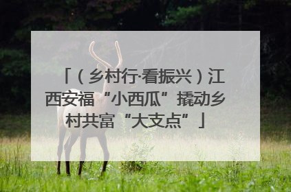（乡村行·看振兴）江西安福“小西瓜”撬动乡村共富“大支点”