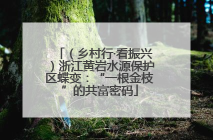 （乡村行·看振兴）浙江黄岩水源保护区蝶变：“一根金枝”的共富密码