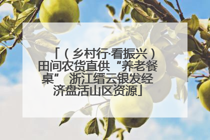 （乡村行·看振兴）田间农货直供“养老餐桌” 浙江缙云银发经济盘活山区资源
