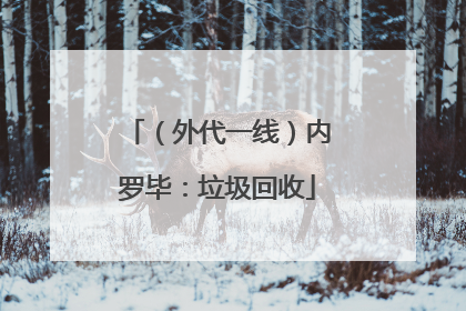 （外代一线）内罗毕：垃圾回收