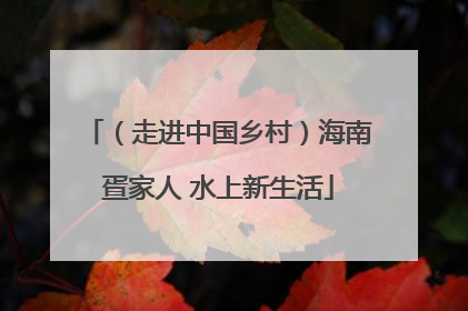 （走进中国乡村）海南疍家人 水上新生活