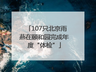 107只北京雨燕在颐和园完成年度“体检”