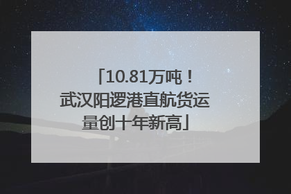 10.81万吨！武汉阳逻港直航货运量创十年新高