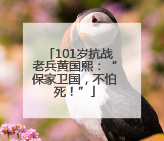 101岁抗战老兵黄国熙：“保家卫国，不怕死！”