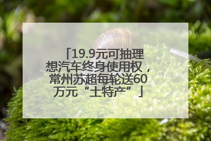 19.9元可抽理想汽车终身使用权,常州苏超每轮送60万元“土特产”
