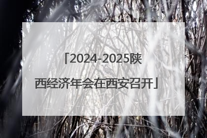 2024-2025陕西经济年会在西安召开