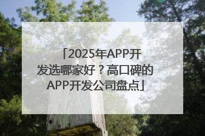2025年APP开发选哪家好？高口碑的APP开发公司盘点