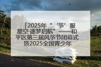 2025年“‘筝’服星空·逐梦启航”——和平区第三届风筝节闭幕式 暨2025全国青少年风筝制作放飞赛（沈阳站）颁奖仪式