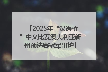 2025年“汉语桥”中文比赛澳大利亚新州预选赛冠军出炉