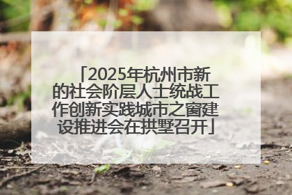 2025年杭州市新的社会阶层人士统战工作创新实践城市之窗建设推进会在拱墅召开