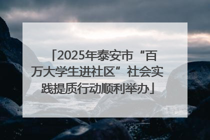 2025年泰安市“百万大学生进社区”社会实践提质行动顺利举办