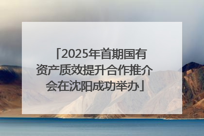 2025年首期国有资产质效提升合作推介会在沈阳成功举办