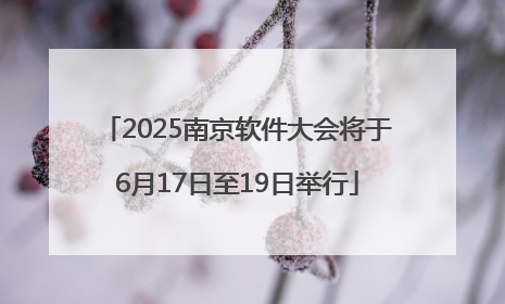 2025南京软件大会将于6月17日至19日举行