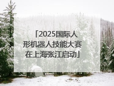 2025国际人形机器人技能大赛在上海张江启动