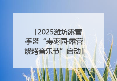 2025潍坊露营季暨“寿枣园·露营烧烤音乐节”启动