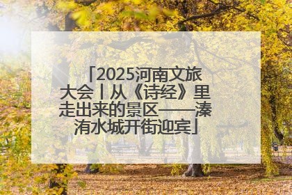 2025河南文旅大会丨从《诗经》里走出来的景区——溱洧水城开街迎宾