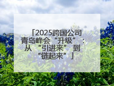 2025跨国公司青岛峰会“升级”：从 “引进来” 到 “链起来”