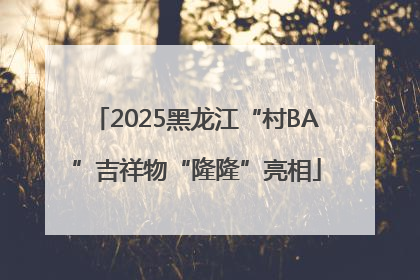 2025黑龙江“村BA”吉祥物“隆隆”亮相