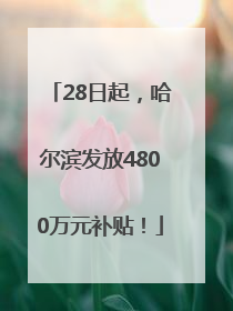 28日起，哈尔滨发放4800万元补贴！
